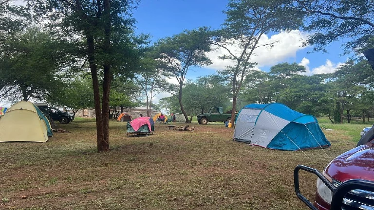 Blue tents at campsite